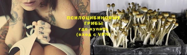 тгк Беломорск
