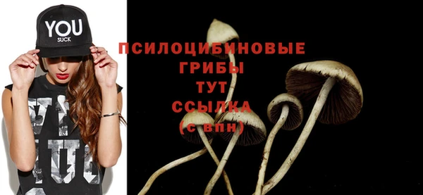 гашик Белоозёрский
