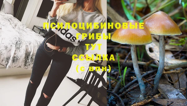 тгк Беломорск