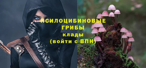 тгк Беломорск