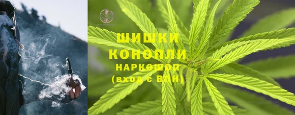 гашик Белоозёрский